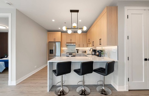 Tri-Taylor Appartement | New Build in Pilsen! Spacious 2 Bed 2 Bath Unit