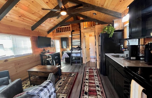 Peculiar Cabine | New Cabin for an Adventure