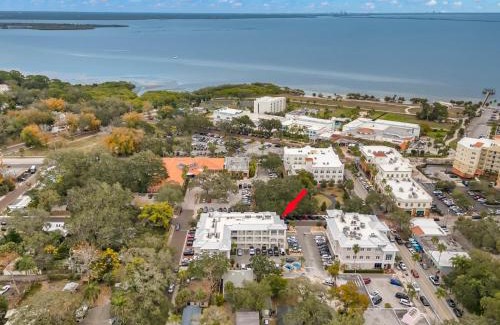 Safety Harbor Appartement | NEW! Canopy Cabana - Luxury Downtown Apartment
