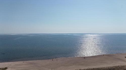 Oscoda Maison | New! Carpe Diem 365 - Very Cute Lakefront Condo!