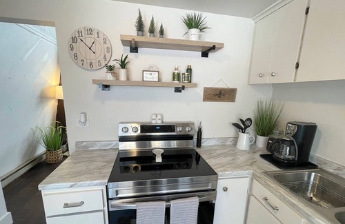 Woodland Park Chalet De Ski | New- Cozy, renovated mountain retreat w/ fireplace