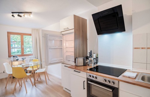 Bad Saeckingen Appartement | new design apartment in the centre of the old town / flexible Check-in / NETFLIX