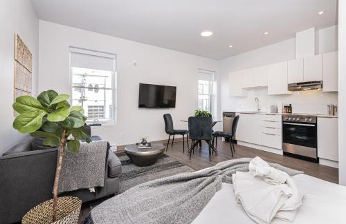 Plateau Mont Royal Appartement | New, Fresh and Luminous Studio in Le Plateau by Den Stays