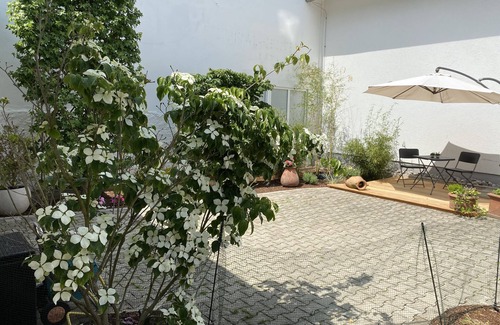Brilon Appartement | Nouveau! "Glockenstuhl" grand appartement de luxe (95 m²) au coeur de Brilon