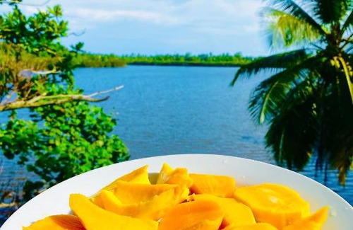 Ambalangoda Hôtel | New Heaven Ambalangoda