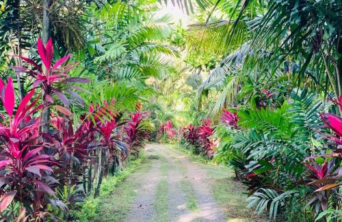 Kaduruduwa Maison | New Holiday Reach