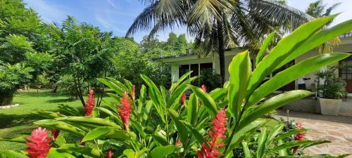 Kaduruduwa Maison | New Holiday Reach