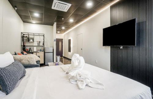 North Oakland Appartement | New Loft 5 min to PPG or Convention center Sleeps 4