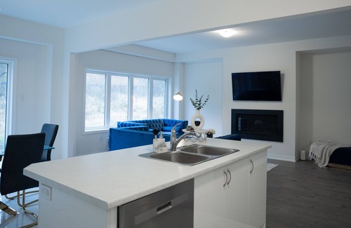 Brantford Maison | New Luxury Home in Paris/ Brant- Executive Rentals