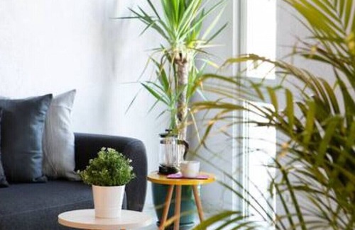 Bakırkoy Appartement | NEW! Luxury Loft Flat 5 mins away by the Sea