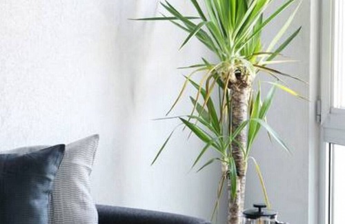 Bakırkoy Appartement | NEW! Luxury Loft Flat 5 mins away by the Sea