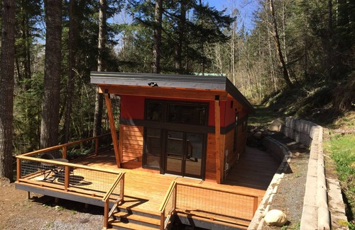 Paradise Estates Cabine | New Mt. moderne Rainier Cabin - Wrap-around pont, Cheminée, Wifi, Netflix + plus