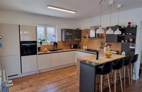 Rovinjsko Selo Villa | New modern villa with private pool 7 km from the sea.