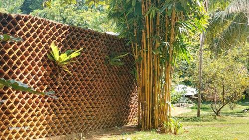 Karandeniya Hôtel | New Nature Palace Villa