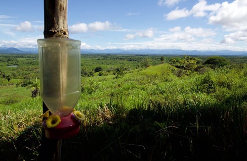 Boca Chica Maison | New on VRBO! Modern bungalow with fantastic views