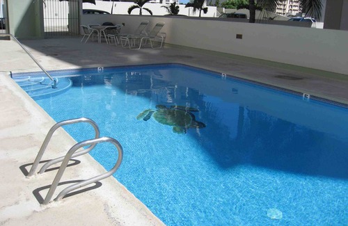 Honolulu Copropriété | TARIF SPECIAL DISCOUNT -Affordable, 1BR, 2 minutes de la plage de Waikiki