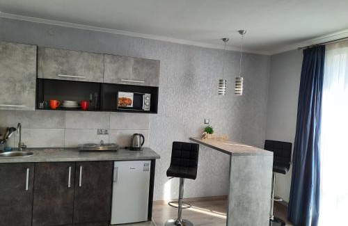Kosuv Stary Appartement | NEW studio Ap【WANT THIS】