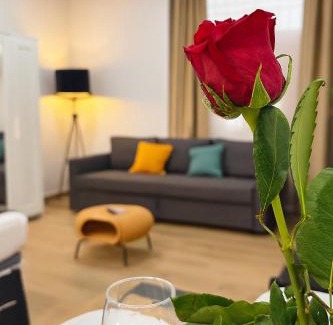 El Botanic Appartement | New Studio - La puerta de olivo
