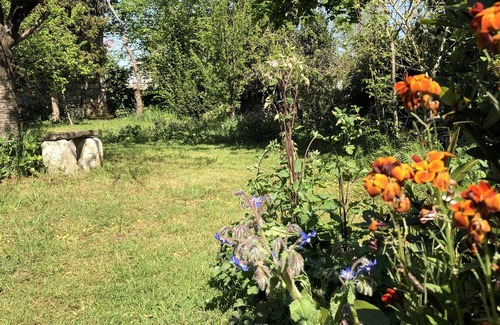 Saint-Clement-des-Levees Maison | Le gîte du marinier -Charmant cottage en bord de Loire proche Saumur