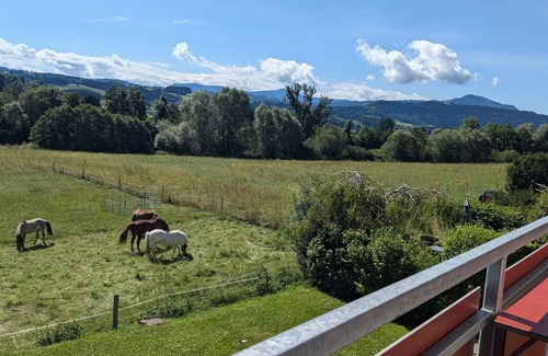 Waltenhofen Appartement | NEW - Time-out at an idyllic ranch