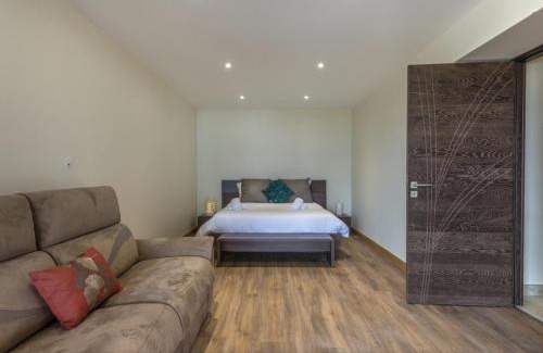 Sevrier Appartement | NEW! Villa l'or bleu -DUPLEX & MAINFLOOR- by Les éclectiques