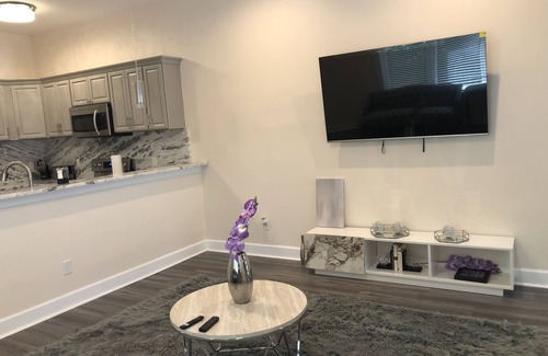 Tallahassee Maison | Newly constructed VIP Leval Rooftop Townhome