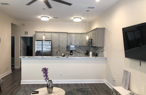 Tallahassee Maison | Newly constructed VIP Leval Rooftop Townhome