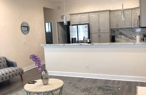 Tallahassee Maison | Newly constructed VIP Leval Rooftop Townhome