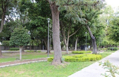 Zona Expo Appartement | Newly remodeled apartment Zona Expo GDL