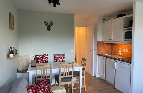 Avoriaz Appartement | Newly renovated flat on the slopes