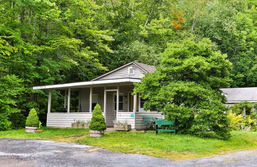 Haines Falls Cottage | Newly renovated Log cabin in the middle of Catskills