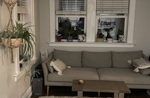 University City Maison | Newly renovated main home in upscale neighborhood.