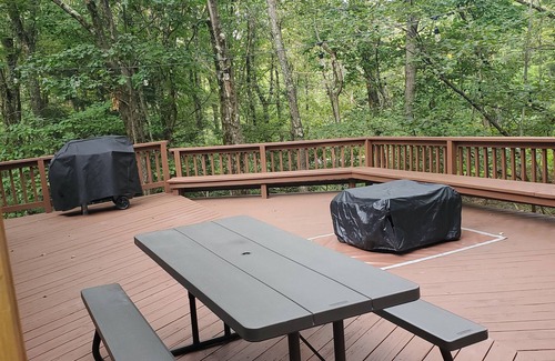 Jim Thorpe Cabine | Newly renovated mountain escape near hiking/skiing/lakes/shops/restaurants