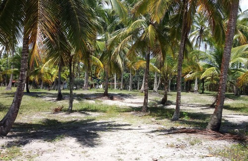 Ilheus Maison | Suivant Sierra Grande ,,, plages, trihas plages p paradizíacas, cascade Tijuípe