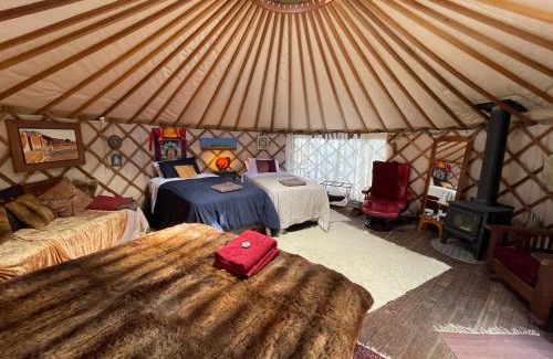Kenepuru Head Autre | Ngahere Hou Glamping