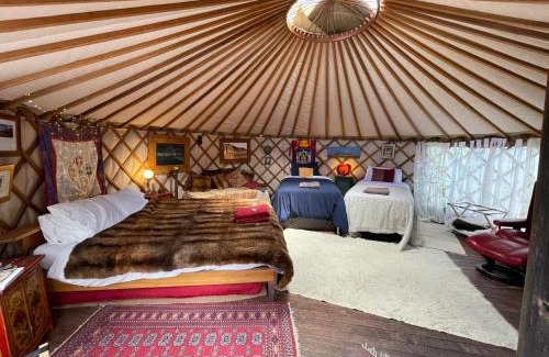 Kenepuru Head Autre | Ngahere Hou Glamping