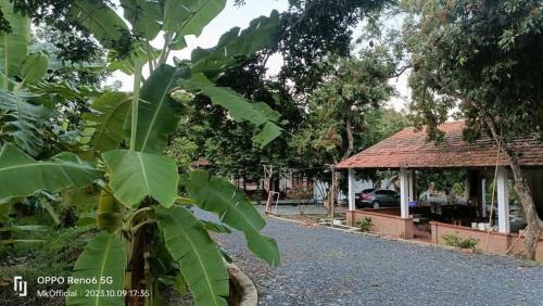 Cu Chi Appartement | Nguyên căn Homestay Mẹ Khang 2