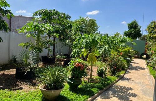 Duc Linh Maison | Nhà Nghỉ Sakura Homestay