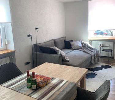 Lindenfels Appartement | Nibelungen 1 Zimmer Apartment