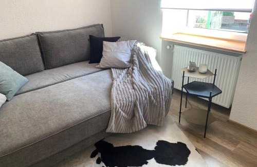 Lindenfels Appartement | Nibelungen 1 Zimmer Apartment