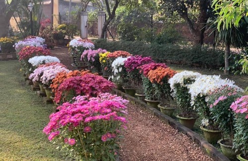 Bolpur Maison | Nibhriti Guest House