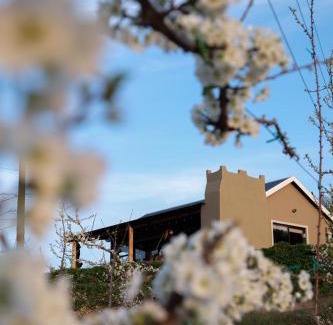 Uniondale Appartement | Nicara Floris Luxury Ecocabin