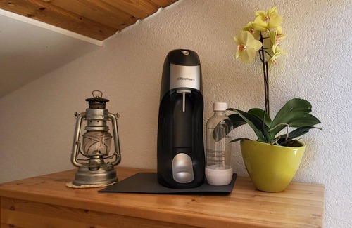Fiesch Appartement | Joli appartement pour 5 personnes avec WIFI, TV et parking