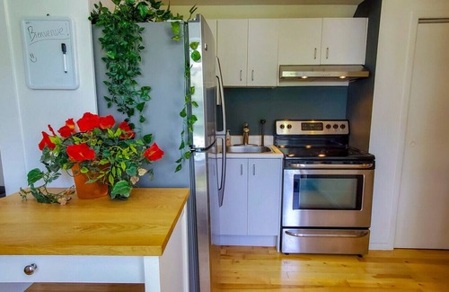 Vieux-Limoilou Appartement | 313 3e Avenue · Bel app. à Limoilou, près de la rivière St-Charles