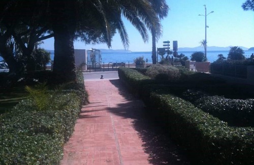 Le Lavandou Appartement | JOLI APPART DANS RÉSIDENCE ARBORÉE AU PIED DE LA PLAGE LE LAVANDOU 1 A 4 PERS