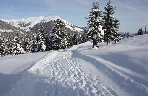 Hochkrimml Appartement | Nice apartment with south balcony in the skiing- and hikingparadise