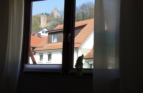 Hirschhorn Appartement | Bel appartement central avec connexion S-Bahn à Heidelberg et vue sur le château