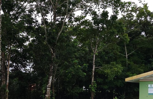 La Fortuna Maison | Nice house