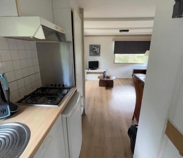 Anloo Chalet De Ski | Nice vacation home in forest area