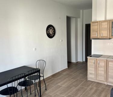 Ierissos Appartement | Nicks apartments